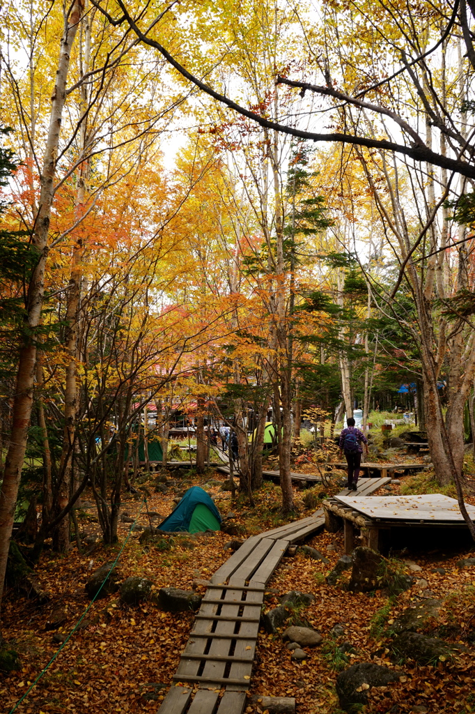 秋色のキャンプ場