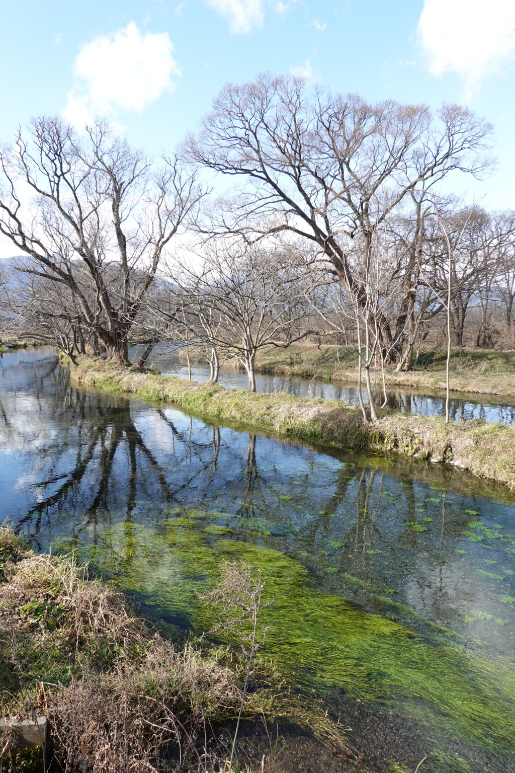 春の小川