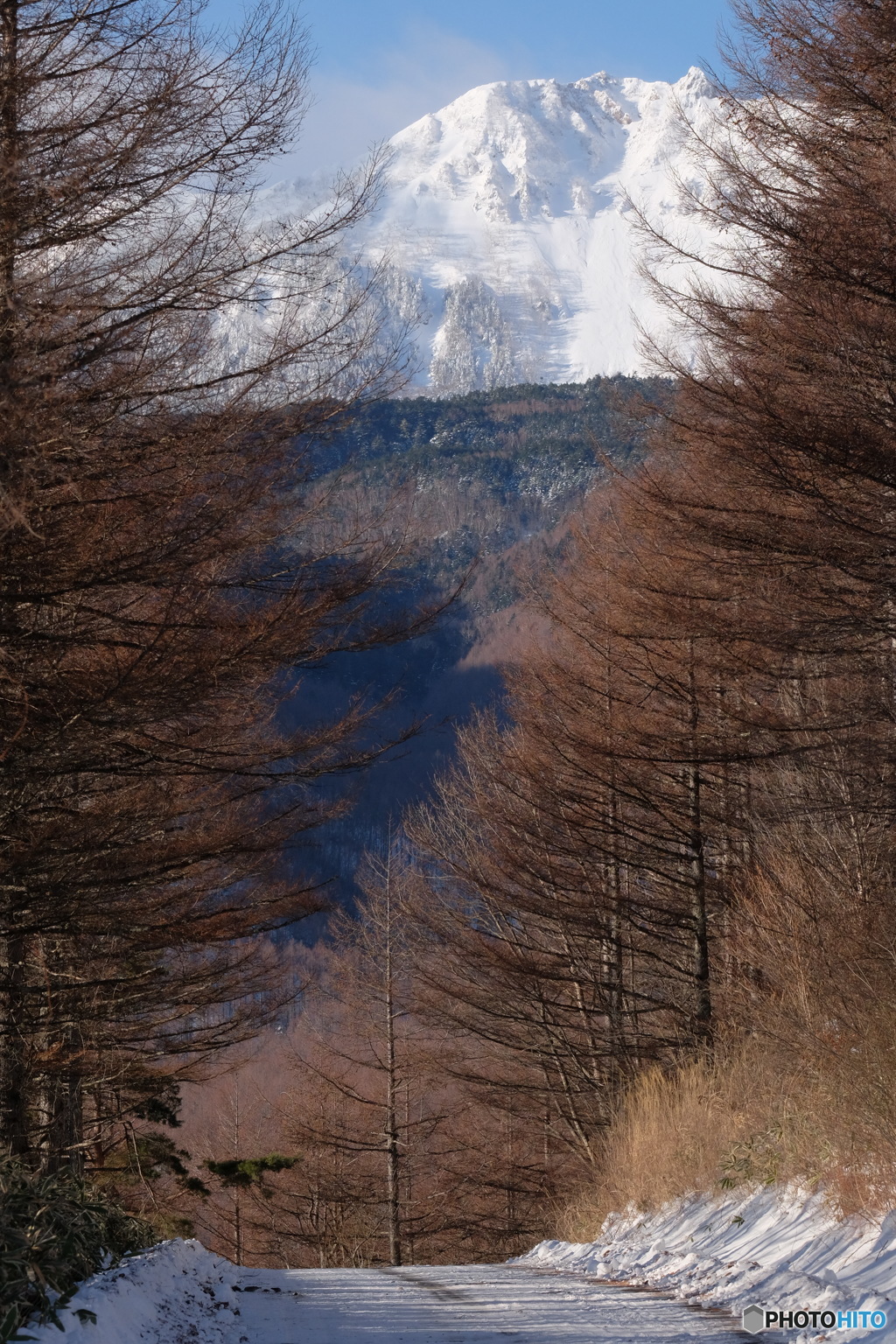 お山へ続く道
