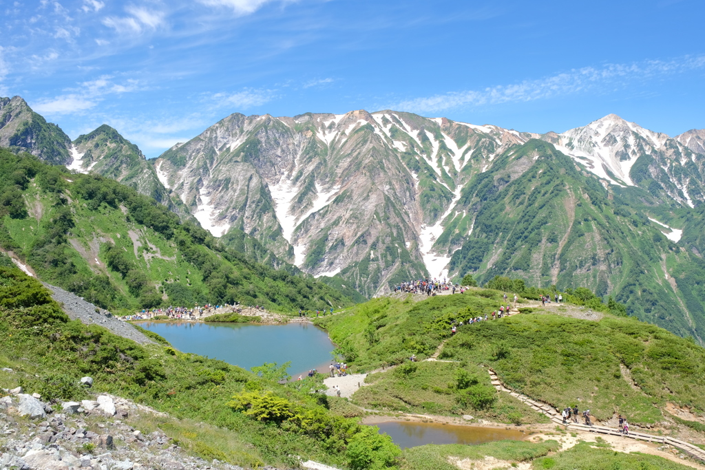 盛夏の八方池