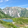 盛夏の八方池