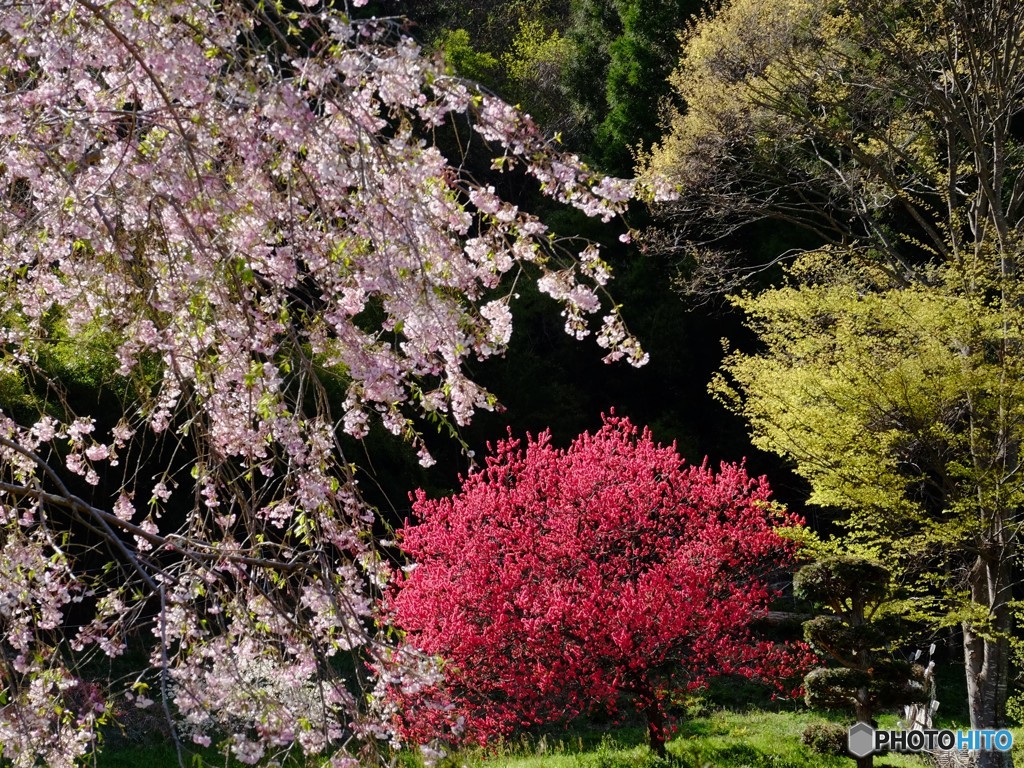 存在感