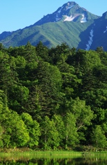 緑輝く北の孤峰