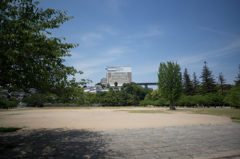 DSC00989