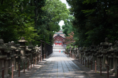 神社の参道
