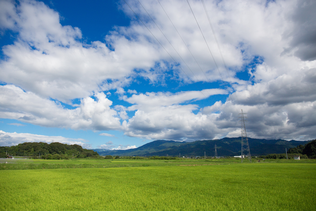 田園風景
