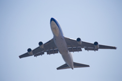 ジャンボ輸送機を撮る2