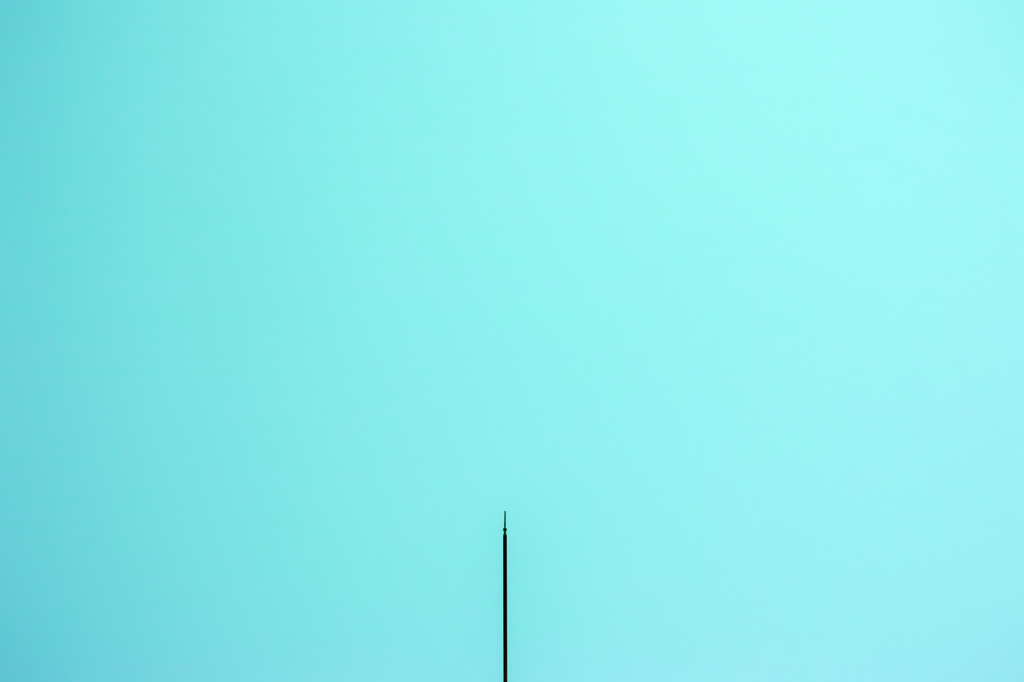 A needle