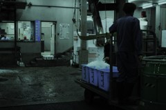 中央卸し市場のお仕事