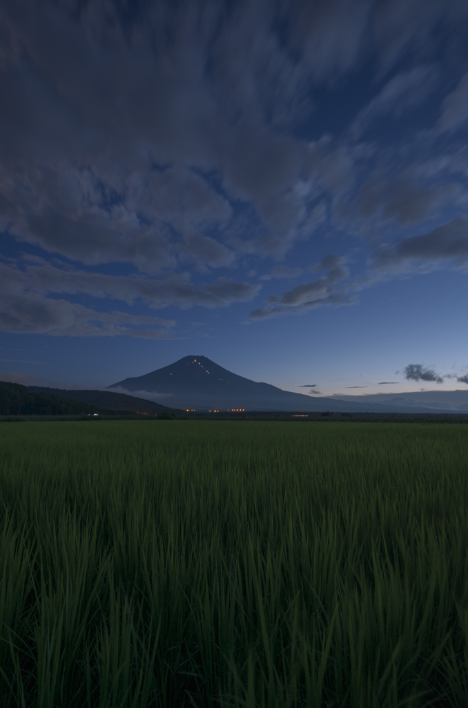 田にそよぐ風。