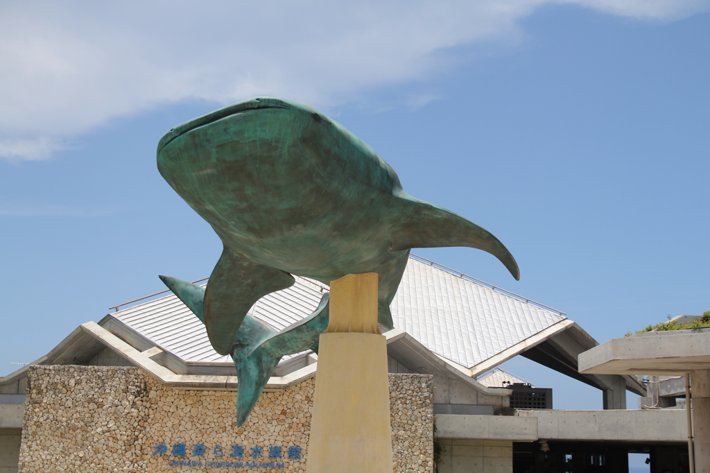 美ら海水族館