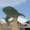 美ら海水族館