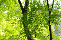 IMGP0920