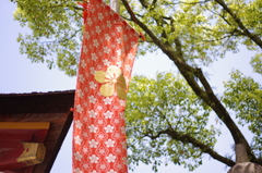 IMGP0878