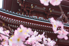 浅草寺