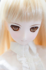 DDセイバーオルタ