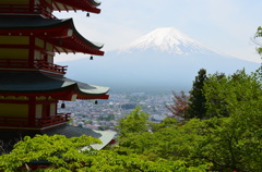 遠足の思い出