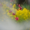 春