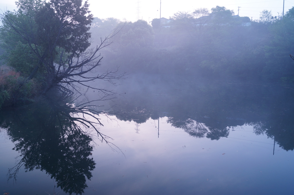 近くの池