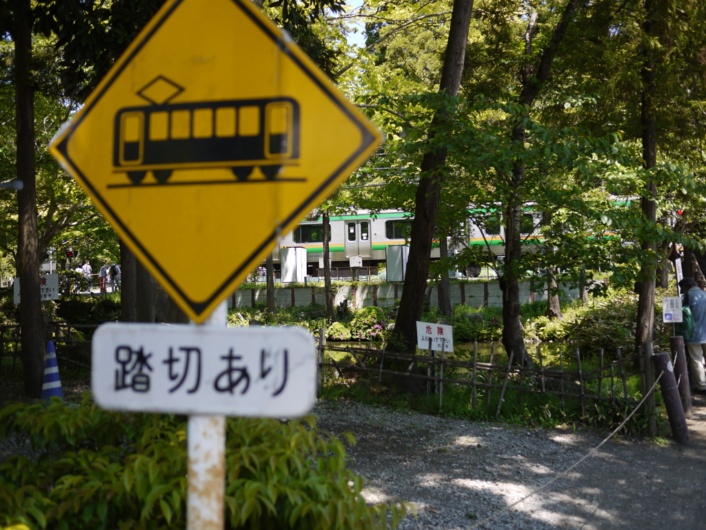 看板