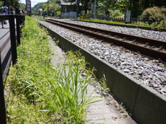 北鎌倉 電車