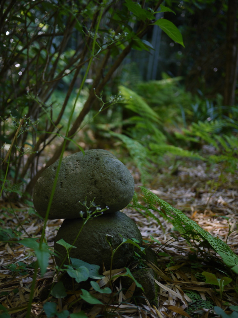 東光山 英勝寺