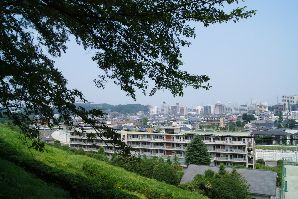 秘密の場所