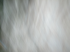 R0010005