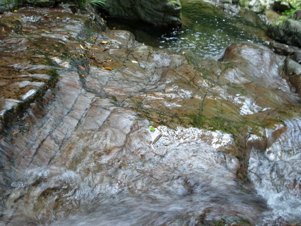 R0010016