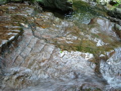 R0010016