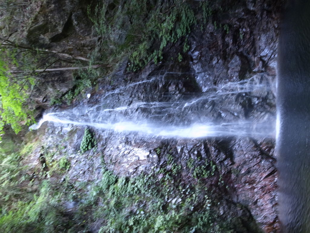 R0010003