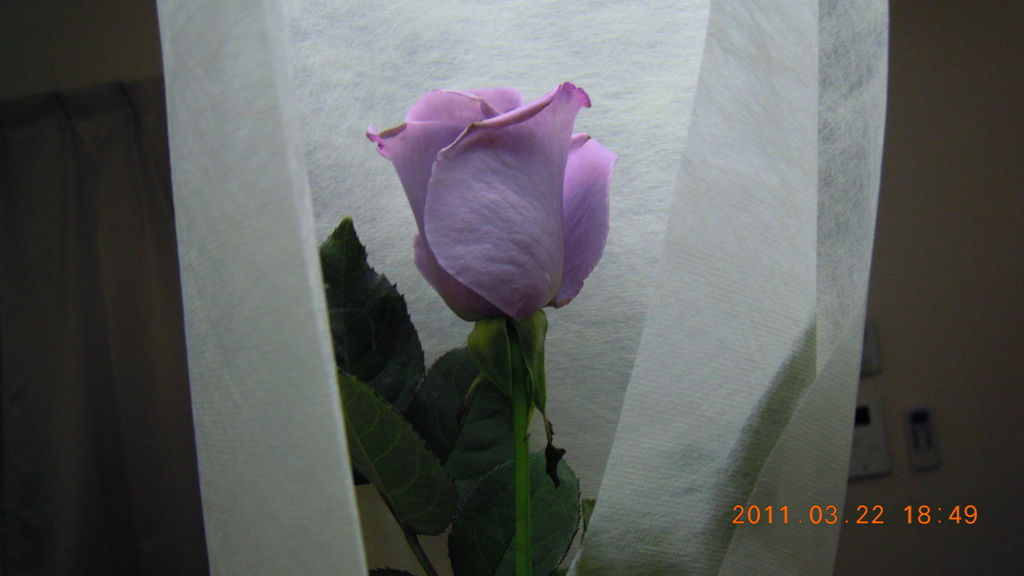DSCN0022