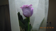DSCN0022
