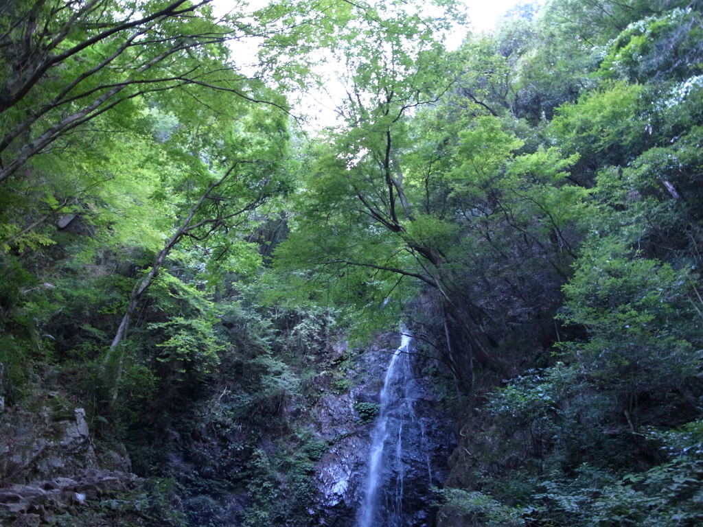 R0010036