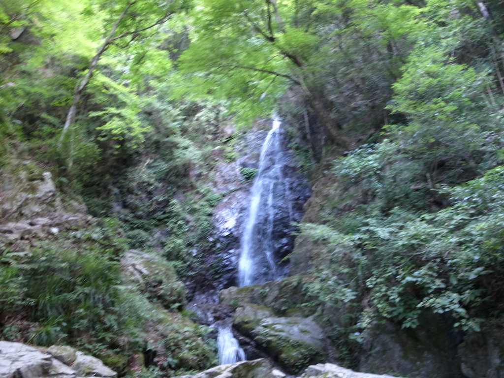 R0010037