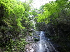 R0010017