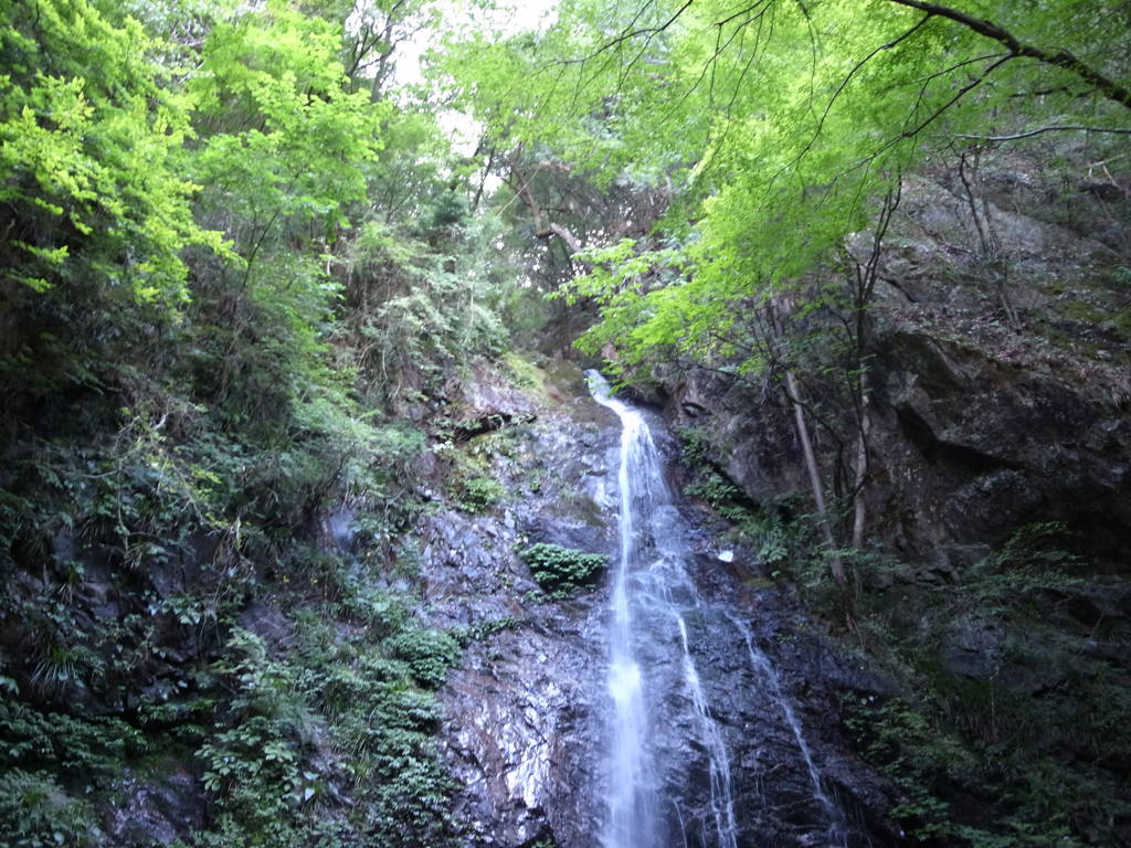 R0010002