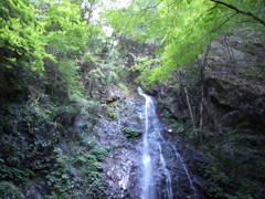R0010002