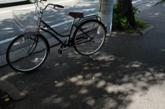 日陰の自転車