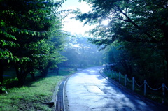 散歩道