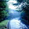 散歩道