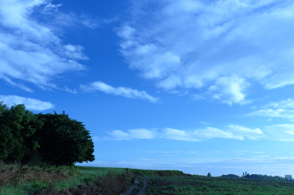 青空小道