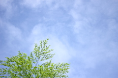 初夏の晴れ間