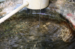 天然水・・無糖