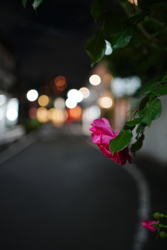 DSC01624