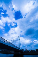 近所の大杉橋