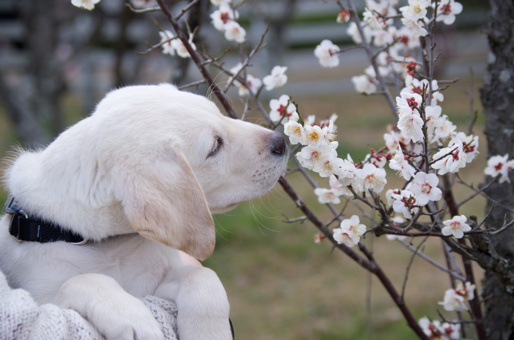 CURIOSITY