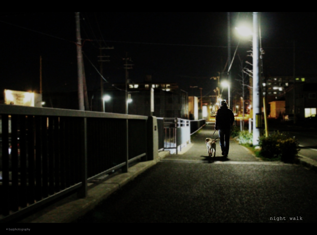 night walk