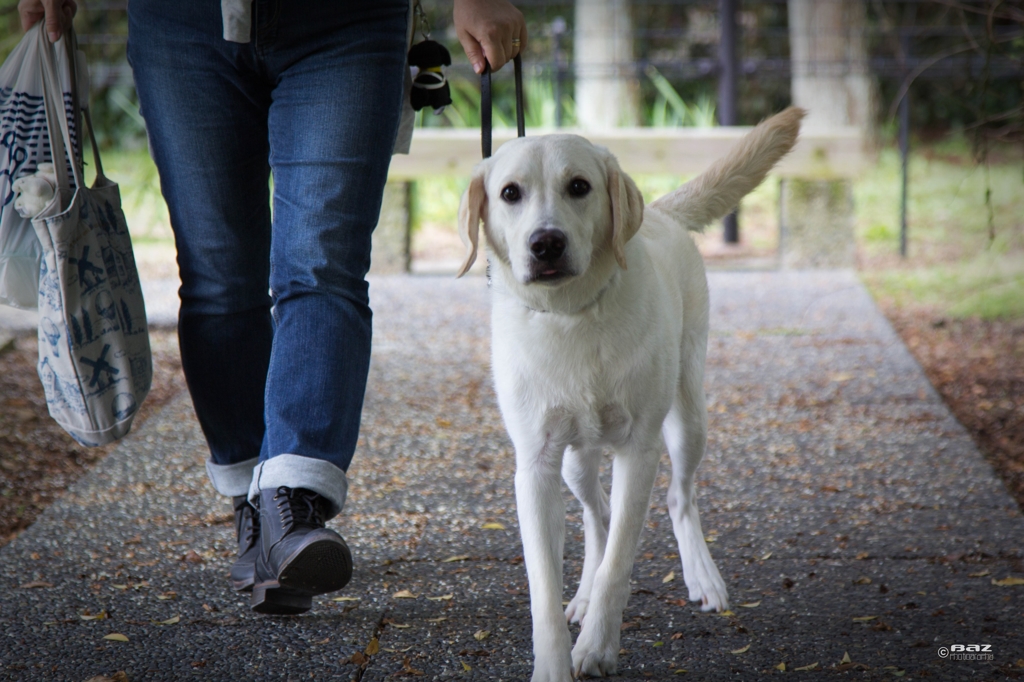 Walk with Mom