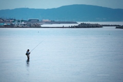 Angler